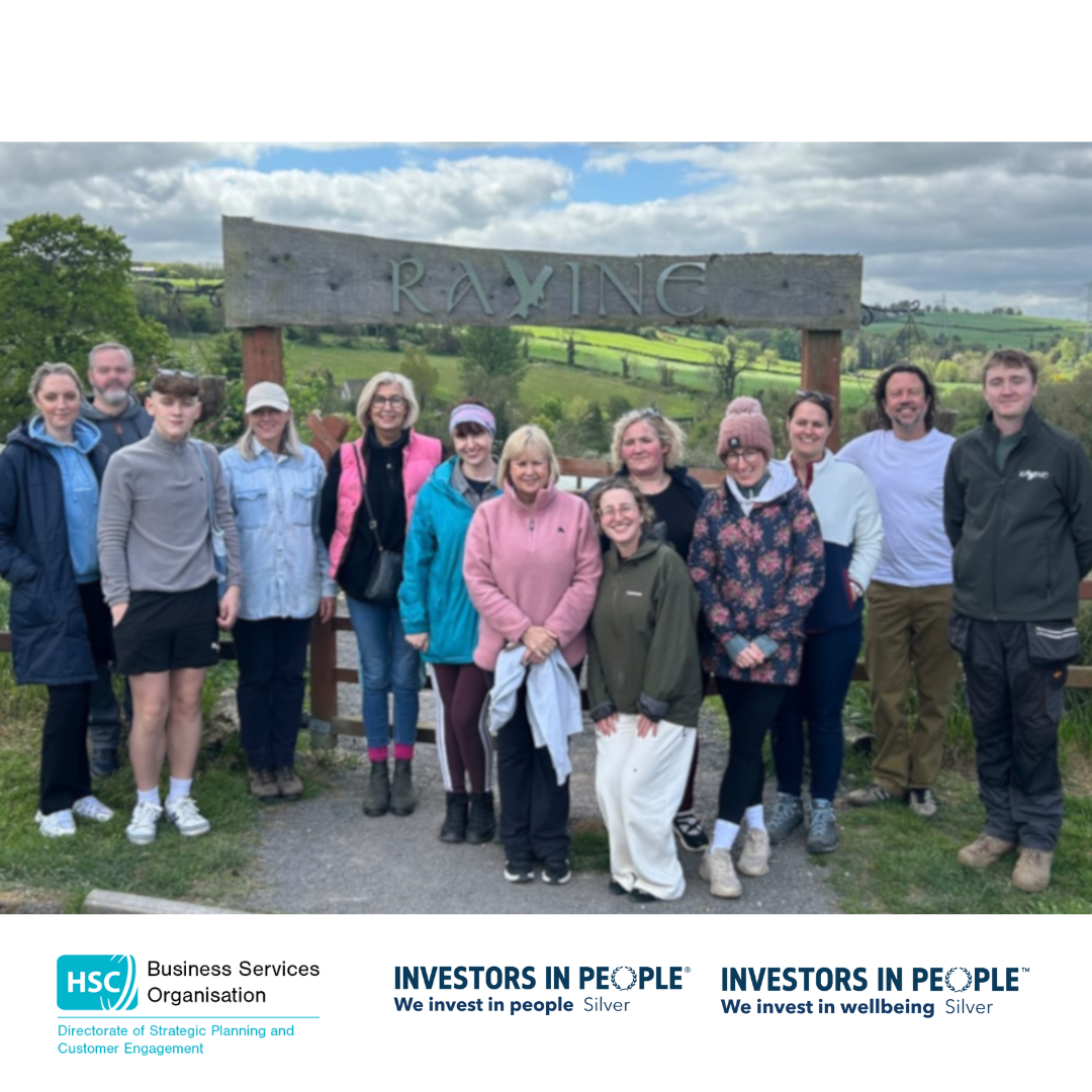 Business Services Organisation (BSO) SP&CE Team Building (6)